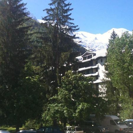 Appartement Chamonix - Vue Mont Blanc Kültér fotó